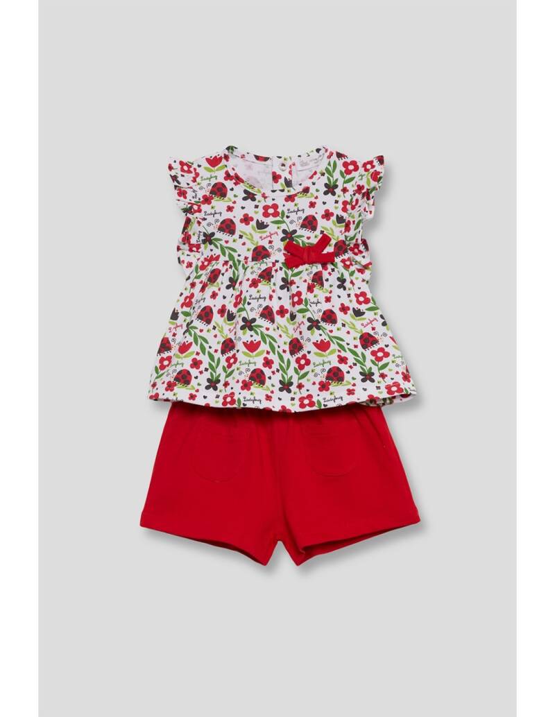 STREET MONKEY Lieveheersbeestje